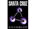 Santa cruz